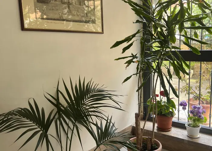 Apartamento Living Aurelia - San Pietro